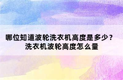 哪位知道波轮洗衣机高度是多少？ 洗衣机波轮高度怎么量